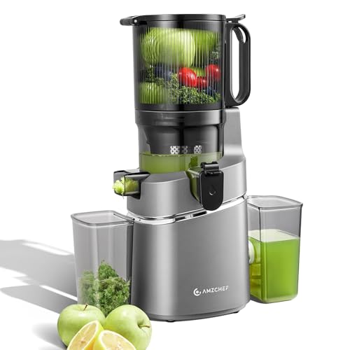 AMZCHEF 250W Automatischer All-In-One Entsafter, 135MM Öffnung und 1.8L entsafter für Gemüse und Obst, Entsafter Slow Juicer Testsieger mit Dreifachem Filter - Grau von AMZCHEF