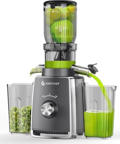 AMZCHEF Entsafter Slow Juicer 103MM Breiter Schacht - 250W Entsafter Gemüse und Obst Testsieger - Kaltpress mit 2 Patentierten Filtern, Leiser Motor, Rückwärts Funktion - Grau AMZCHEF Entsafter Slow Juicer 103MM Breiter Schacht - 250W Entsafter Gemüse und Obst Testsieger - Kaltpress mit 2 Patentierten Filtern, Leiser Motor, Rückwärts Funktion - Grau von AMZCHEF