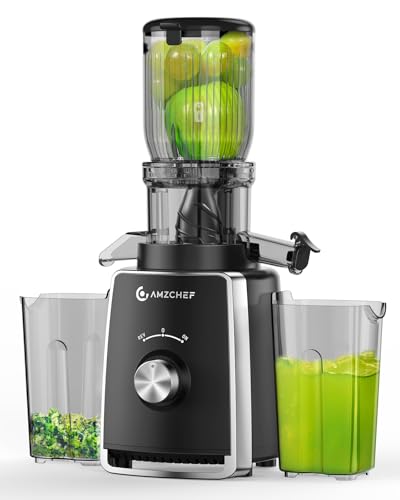 AMZCHEF Entsafter Slow Juicer 103MM Breiter Schacht - 250W Entsafter Gemüse und Obst Testsieger - Kaltpress Entsafter mit 2 Patentierten Filtern, Leiser Motor, Rückwärts Funktion - Schwarz von AMZCHEF