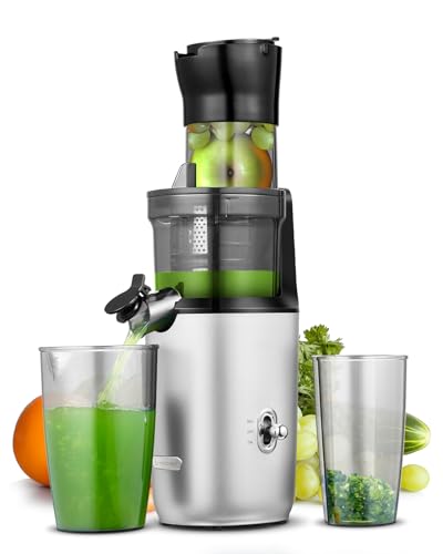 AMZCHEF Ganzfrucht Entsafter - 80MM große Öffnung Slow Juicer - Entsafter Gemüse und Obst Testsieger mit Verbesserter Schnecke, Doppelschicht Filter, Retro Kippschalter, Leiser Motor - Grau AMZCHEF Ganzfrucht Entsafter - 80MM große Öffnung Slow Juicer - Entsafter Gemüse und Obst Testsieger mit Verbesserter Schnecke, Doppelschicht Filter, Retro Kippschalter, Leiser Motor - Grau von AMZCHEF