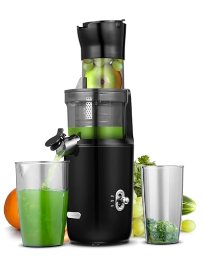 AMZCHEF Ganzfrucht Entsafter - 80MM große Öffnung Slow Juicer - Entsafter Gemüse und Obst Testsieger mit Verbesserter Schnecke, Doppelschicht Filter, Retro Kippschalter, Leiser Motor - Schwarz Blau von AMZCHEF