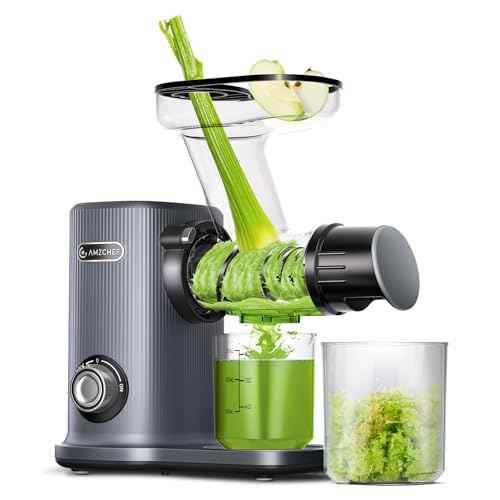 AMZCHEF Kompakt Entsafter Gemüse und Obst mit Zwei Zuführungsmodi für Einfache Verwendung - 150W High-Tech-Silent Slow Juicer mit Überhitzungsschutz und Rückwärts-Mastizieren - Grau von AMZCHEF