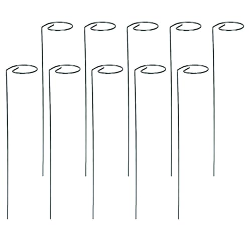 AMZLORD 10 Pack Past Stake Tomato Tomate TICK -Pfahl for Innentomatenrebe (gerade) von AMZLORD