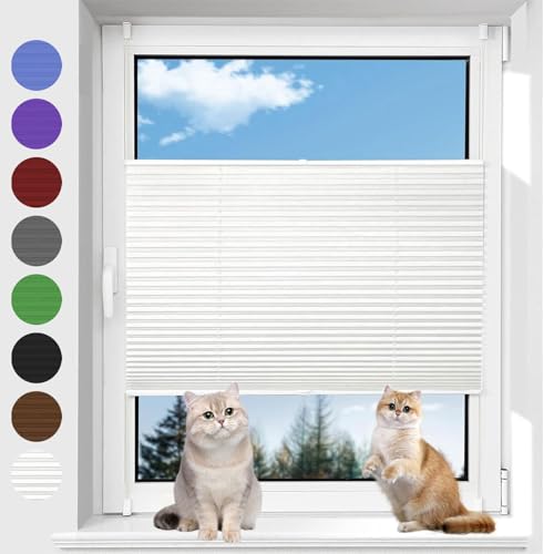 Plissee Faltrollo 65 x 70 cm Blickdicht Sichtschutz Sonnenschutz Verdunklungsplissee leicht zu montieren mit Klemmträger für Fenster & Balkontür, Weiß von AMZYU