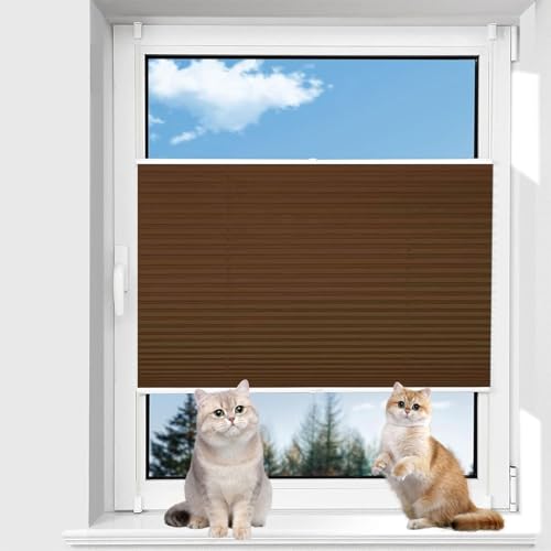 Plissee ohne Bohren 60 x 90 cm Sonnenschutz Blickdicht Rollo für Fenster leicht zu montieren mit Klemmträger für Fenster & Balkontür, Braun von AMZYU