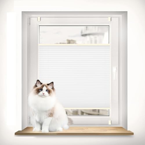 Plissee ohne Bohren Klemmfix 45 x 70 cm Blickdicht Sichtschutz Sonnenschutz Plissee Rollo Ohne Bohren leicht zu montieren mit Klemmträger für Fenster und Tür, Weiß von AMZYU