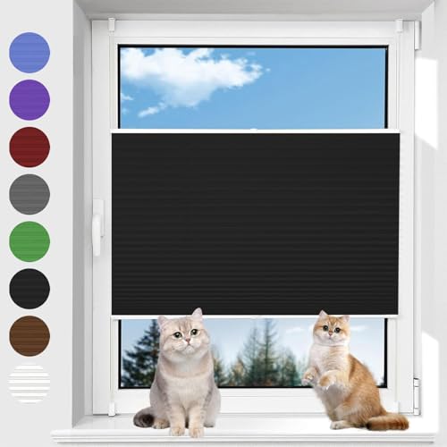 Plisseerollo Ohne Bohren 115 x 160 cm Blickdicht Sichtschutz Sonnenschutz Wabenplissee ohne Bohren Bequeme Montage Inkl. Aller Montage-Teile für Fenster & Türen, Schwarz Plisseerollo Ohne Bohren 115 x 160 cm Blickdicht Sichtschutz Sonnenschutz Wabenplissee ohne Bohren Bequeme Montage Inkl. Aller Montage-Teile für Fenster & Türen, Schwarz von AMZYU
