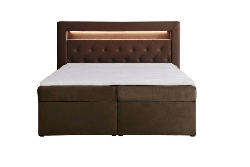 AN-MOEBEL4U Boxbett LUI GOLD mit Matratze (20 cm hoch) Topper, Bettkasten und LED Licht, Boxspringbett, Stauraum, Bettkasten, Polsterbett von AN-MOEBEL4U