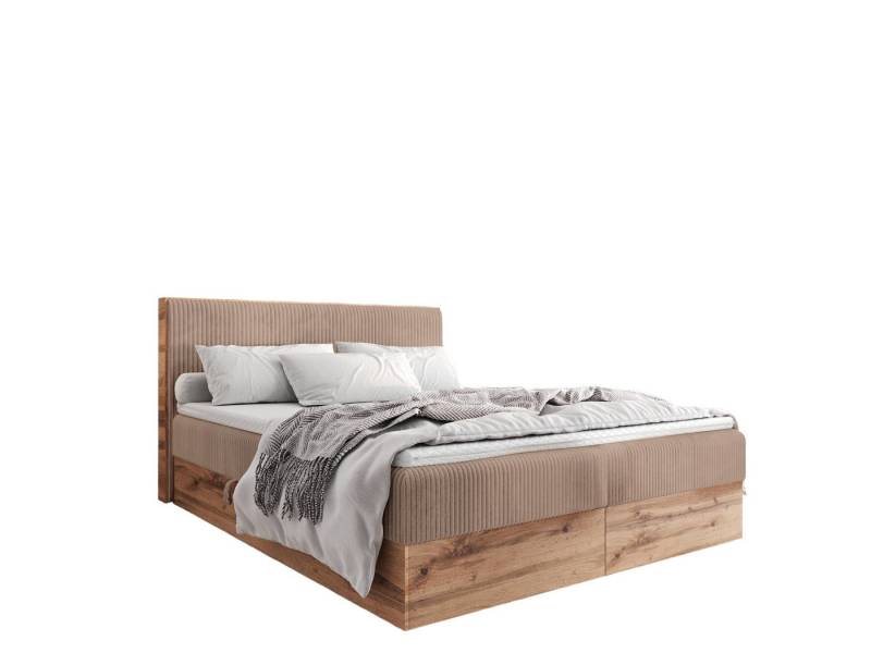 AN FURNITURE STORE Boxspringbett Boxspringbett TESSA in Stoff Cord, hochwertiger Topper aus hochelastischem Schaumstoff AN FURNITURE STORE Boxspringbett Boxspringbett TESSA in Stoff Cord, hochwertiger Topper aus hochelastischem Schaumstoff von AN FURNITURE STORE