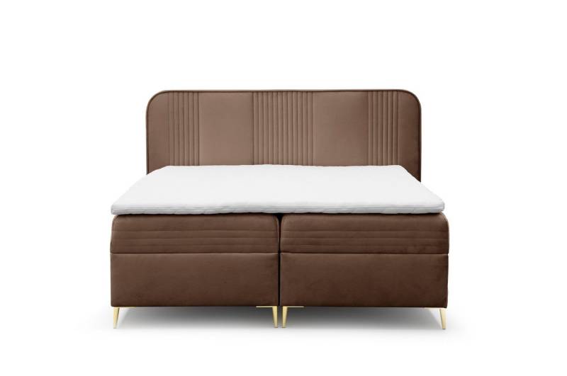 AN-MOEBEL4U Boxspringbett GOLDFLAIR, inkl. Bettkasten und Topper von AN-MOEBEL4U