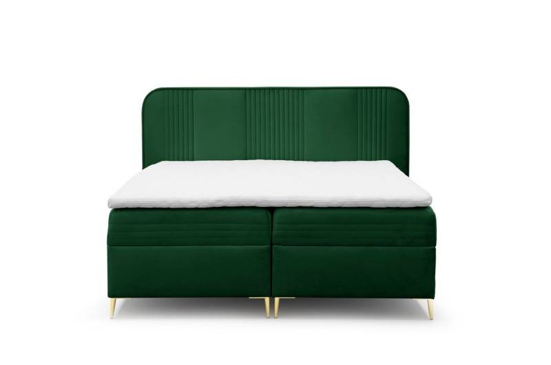 AN-MOEBEL4U Boxspringbett GOLDFLAIR, inkl. Bettkasten und Topper von AN-MOEBEL4U