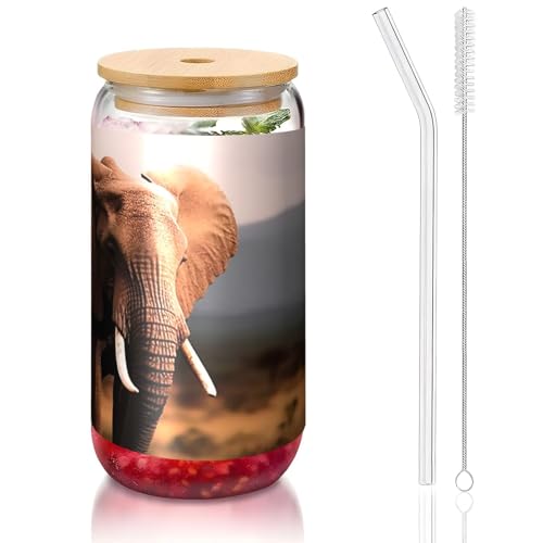 ANABPRMA Glasbecher mit Bambusdeckel und Strohhalm, 473 ml, bedruckte Tasse für Eiskaffee, Tee, Saft von ANABPRMA