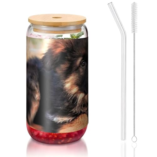 ANABPRMA Hunde-Glasbecher mit Bambusdeckel und Strohhalm, 473 ml, bedruckte Tasse für Eiskaffee, Tee, Saft von ANABPRMA
