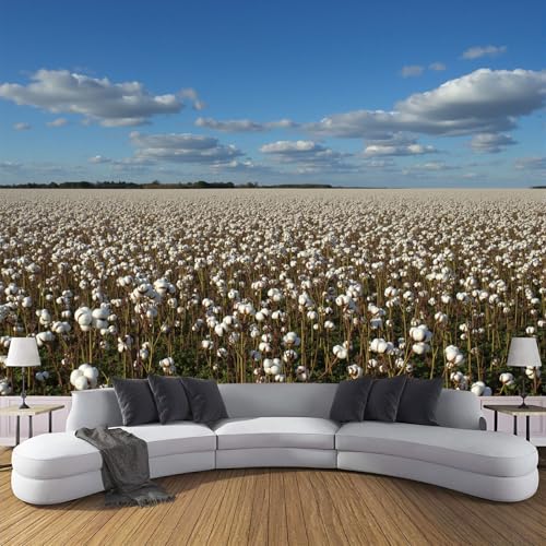 Fototapete Baumwollfelder Motivtapeten Tapete Felder Pflanzen Tapeten Vliestapete Modern Wandtapete Wohnzimmer Schlafzimmer Tapete Wanddeko 150×105cm(W×H) von ANALTIRCE