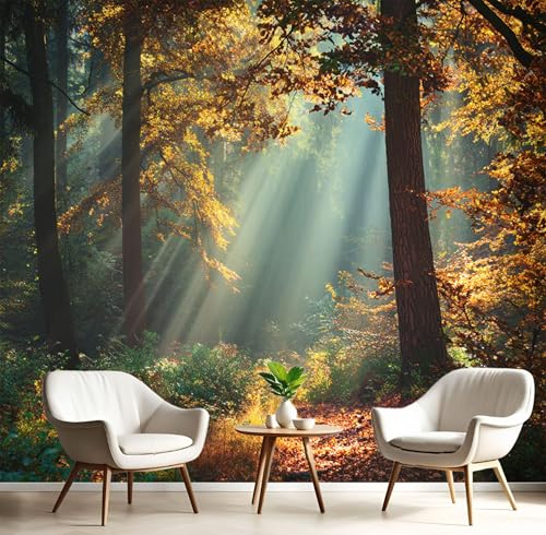 Fototapete Herbstwald 300×210cm(W×H) Tapete Wandbild Wandbild Dicht Bewaldet Bild Fototapeten XXL Tapeten Wandtapete Gelb Wand Schlafzimmer Wohnzimmer Moderne Vliestapete von ANALTIRCE
