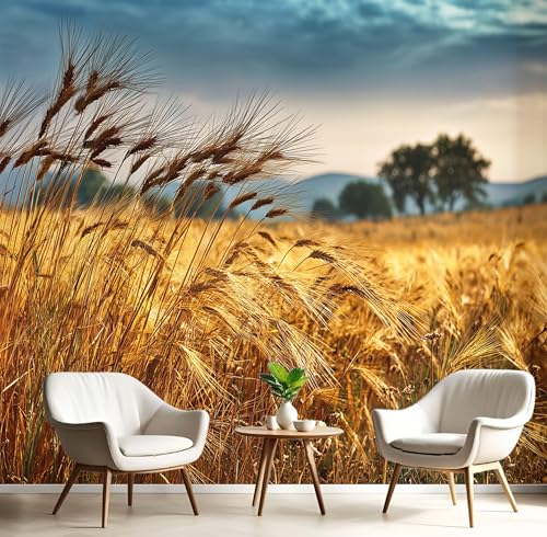 Fototapete Weißer Sandstrand Segelboot 300×210cm(W×H) Fototapeten Vlies Tapeten Moderne Felder Landschaft Vliestapete Wandtapete Wohnzimmer Schlafzimmer von ANALTIRCE