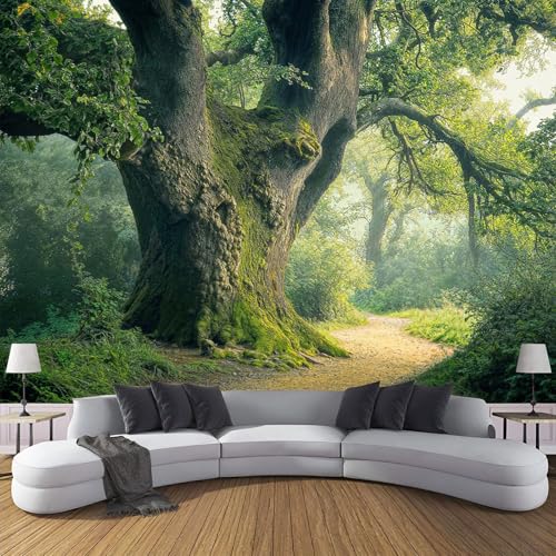 Vlies Fototapete Uralte Bäume Und Moos 3D Effekt 350×256cm(W×H) Foto Tapete Schlafzimmer Wohnzimmer Moderne Vliestapete XXL Wandtapete Motivtapeten 3d Wald Straße Dekoration Grün von ANALTIRCE