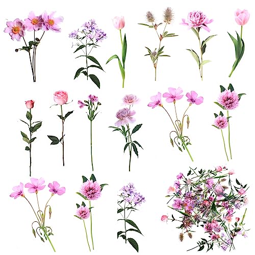 40 Stk Blume Aufkleber Abziehbilder, Scrapbooking Blume Aufkleber Sticker Selbstklebende Dekoration Transparentes für Laptop, Handy, Wand, Möbel, Scrapbook, Auto, Fahrrad - Pinke Blume von ANBEEISS