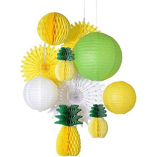 ANCLLO Papierlaterne mit Wabenanaskugeln, für Geburtstag Hochzeit Foto Hintergrund,Sommerpartys, Tropische Hawaii-Partys, Festivals, Papierfächer, Dekoration ANCLLO Papierlaterne mit Wabenanaskugeln, für Geburtstag Hochzeit Foto Hintergrund,Sommerpartys, Tropische Hawaii-Partys, Festivals, Papierfächer, Dekoration von ANCLLO