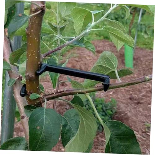 ANDRESLAD 100 Stück Astspreizer für Obstbäume aus Robustem PE Verstellbare Zweigspreizer zur Formgebung und Astspreizung Wiederverwendbar Flexibel für Baumzweigform für Garten und von ANDRESLAD