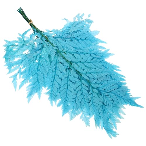 ANDRESLAD Getrocknete Farnblätter Deko Langlebige Natürliche Pflanzenmodelle für Wohnraum Hochzeit DIY Blumenarrangements ohne Pflege Umweltfreundlich Vielseitig Einsetzbar ANDRESLAD Getrocknete Farnblätter Deko Langlebige Natürliche Pflanzenmodelle für Wohnraum Hochzeit DIY Blumenarrangements ohne Pflege Umweltfreundlich Vielseitig Einsetzbar von ANDRESLAD