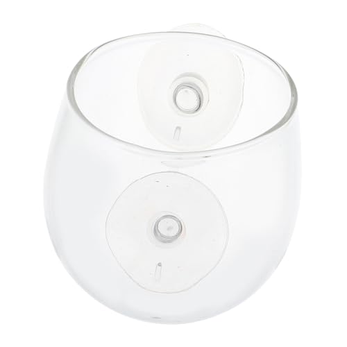 ANDRESLAD Glas Reptilien futternapf mit Saugnapf Kompakte Wasserschale für Kleine bis Große Echsen rutschfeste Fressschale für Amphibien und Reptilien für Terrarien ANDRESLAD Glas Reptilien futternapf mit Saugnapf Kompakte Wasserschale für Kleine bis Große Echsen rutschfeste Fressschale für Amphibien und Reptilien für Terrarien von ANDRESLAD