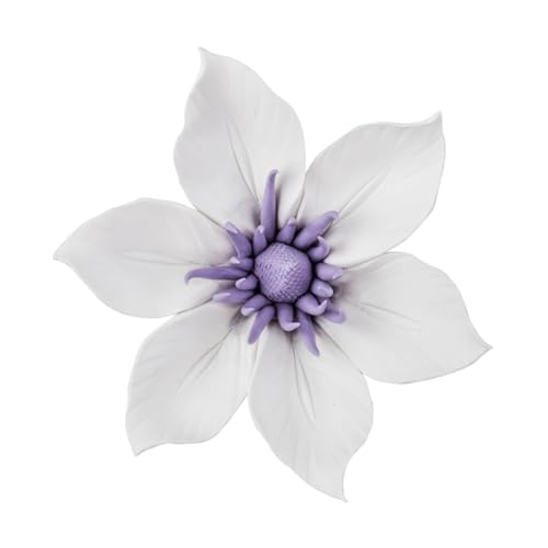 ANDRESLAD Keramische Blumen Wanddekoration Clematis Weiß Langlebig Handgefertigt Wandkunst für Wohnzimmer Schlafzimmer DIY Kreative Wandgestaltung ANDRESLAD Keramische Blumen Wanddekoration Clematis Weiß Langlebig Handgefertigt Wandkunst für Wohnzimmer Schlafzimmer DIY Kreative Wandgestaltung von ANDRESLAD