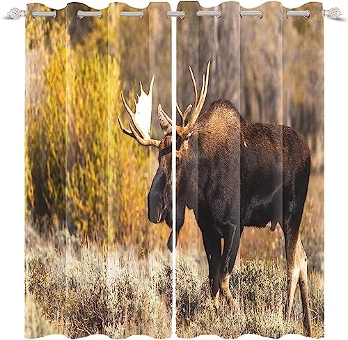 ANEEHA Vorhang Blickdicht Elch Vorhänge Waldherbst Gardinen Wohnzimmer Schlafzimmer Verdunklungsvorhänge Thermovorhang 3D Druck Schallschutz Vorhang mit Ösen 2er Set B 75 x H 166 cm ANEEHA Vorhang Blickdicht Elch Vorhänge Waldherbst Gardinen Wohnzimmer Schlafzimmer Verdunklungsvorhänge Thermovorhang 3D Druck Schallschutz Vorhang mit Ösen 2er Set B 75 x H 166 cm von ANEEHA