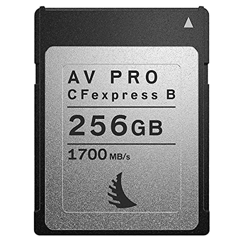 Angelbird AV-Pro-CFexpress 256 GB Speicherkarte von Angelbird
