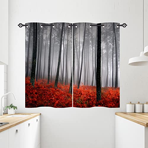 ANHOPE Herbst Nebel Wald Dschungel Baum Blickdichte Gardinen mit Ösen Weich Thermo Vorhänge Wohnzimmer Schlafzimmer Verdunklungsvorhänge 2er Set H 138 x B 71 cm ANHOPE Herbst Nebel Wald Dschungel Baum Blickdichte Gardinen mit Ösen Weich Thermo Vorhänge Wohnzimmer Schlafzimmer Verdunklungsvorhänge 2er Set H 138 x B 71 cm von ANHOPE