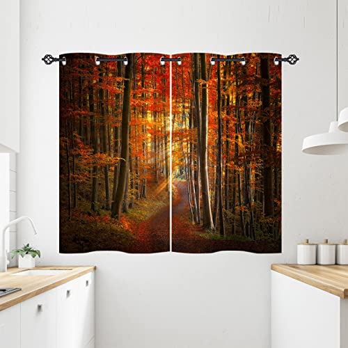 ANHOPE Herbst Wald Baum Pfad Vorhänge mit Ösen Weich Gardinen Blickdichte Thermo Vorhang Blackout Curtain Schlafzimmer Wohnzimmer Verdunklungsvorhänge 2er Set H 138 x B 71 cm ANHOPE Herbst Wald Baum Pfad Vorhänge mit Ösen Weich Gardinen Blickdichte Thermo Vorhang Blackout Curtain Schlafzimmer Wohnzimmer Verdunklungsvorhänge 2er Set H 138 x B 71 cm von ANHOPE