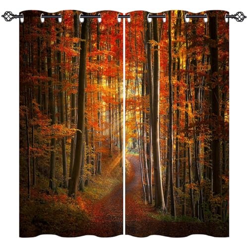 ANHOPE Herbst Wald Baum Pfad Vorhänge mit Ösen Weich Gardinen Blickdichte Thermo Vorhang Blackout Curtain Schlafzimmer Wohnzimmer Verdunklungsvorhänge 2er Set H 175 x B 140 cm ANHOPE Herbst Wald Baum Pfad Vorhänge mit Ösen Weich Gardinen Blickdichte Thermo Vorhang Blackout Curtain Schlafzimmer Wohnzimmer Verdunklungsvorhänge 2er Set H 175 x B 140 cm von ANHOPE