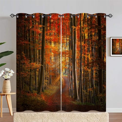ANHOPE Herbst Wald Baum Pfad Vorhänge mit Ösen Weich Gardinen Blickdichte Thermo Vorhang Blackout Curtain Schlafzimmer Wohnzimmer Verdunklungsvorhänge 2er Set H 245 x B 140 cm ANHOPE Herbst Wald Baum Pfad Vorhänge mit Ösen Weich Gardinen Blickdichte Thermo Vorhang Blackout Curtain Schlafzimmer Wohnzimmer Verdunklungsvorhänge 2er Set H 245 x B 140 cm von ANHOPE