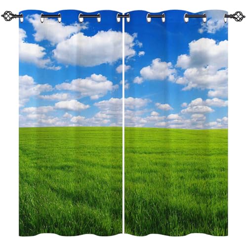 ANHOPE Natur Grün Gras Prärie Grasland Blickdichte Gardinen mit Ösen Thermo Vorhänge Blackout Curtain Weich Verdunklungsvorhänge Wohnzimmer Schlafzimmer Vorhang 2er Set H 138 x B 132 cm ANHOPE Natur Grün Gras Prärie Grasland Blickdichte Gardinen mit Ösen Thermo Vorhänge Blackout Curtain Weich Verdunklungsvorhänge Wohnzimmer Schlafzimmer Vorhang 2er Set H 138 x B 132 cm von ANHOPE