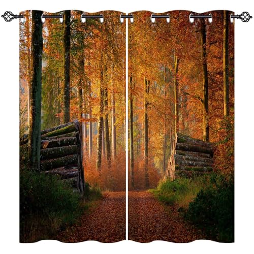 ANHOPE Natur Herbst Wald Baum Verdunklungsvorhänge mit Ösen Blickdichte Gardinen Thermo Vorhänge Blackout Curtain Weich Wohnzimmer Schlafzimmer Vorhang 2er Set H 138 x B 132 cm ANHOPE Natur Herbst Wald Baum Verdunklungsvorhänge mit Ösen Blickdichte Gardinen Thermo Vorhänge Blackout Curtain Weich Wohnzimmer Schlafzimmer Vorhang 2er Set H 138 x B 132 cm von ANHOPE