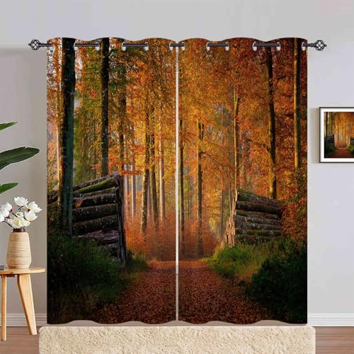 ANHOPE Natur Herbst Wald Baum Verdunklungsvorhänge mit Ösen Blickdichte Gardinen Thermo Vorhänge Blackout Curtain Weich Wohnzimmer Schlafzimmer Vorhang 2er Set H 245 x B 140 cm ANHOPE Natur Herbst Wald Baum Verdunklungsvorhänge mit Ösen Blickdichte Gardinen Thermo Vorhänge Blackout Curtain Weich Wohnzimmer Schlafzimmer Vorhang 2er Set H 245 x B 140 cm von ANHOPE