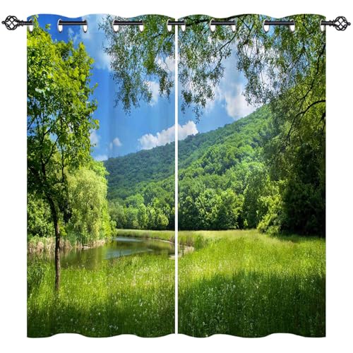 ANHOPE Natur Landschaft Wald Fluss Blickdichte Gardinen mit Ösen Thermo Vorhänge Weich Vorhang Blackout Curtain Wohnzimmer Schlafzimmer Verdunklungsvorhänge 2er Set H 160 x B 77 cm von ANHOPE