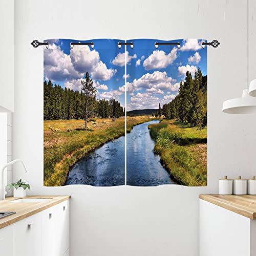 ANHOPE Natur Landschaft Wald Fluss Verdunklungsvorhänge mit Ösen Blickdichte Gardinen Blackout Curtain Thermo Vorhänge Weich Schlafzimmer Wohnzimmer Vorhang 2er Set H 138 x B 71 cm von ANHOPE