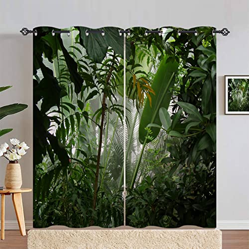 ANHOPE Tropisch Dschungel Regenwald Verdunklungsvorhänge mit Ösen Blickdichte Gardinen Blackout Curtain Thermo Vorhänge Weich Schlafzimmer Wohnzimmer Vorhang 2er Set H 183 x B 168 cm von ANHOPE