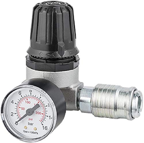 Ani AH102031 Mini-Regler mit Manometer von ANI