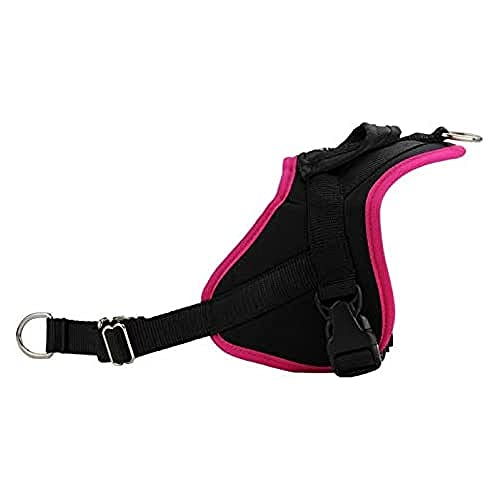 AnimoConcept Tier Multi Harnais Größe XXL Fushia AnimoConcept Tier Multi Harnais Größe XXL Fushia von ANIMALIN