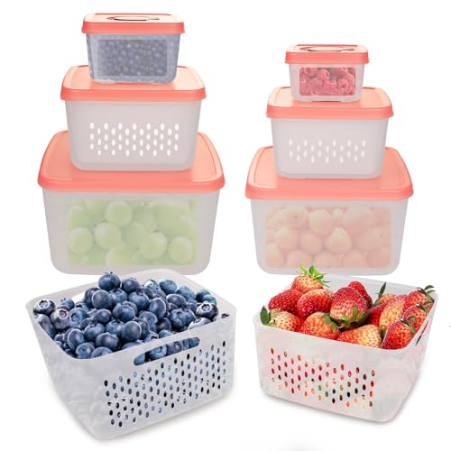 ANJUKE Frischhaltedosen Obst Gemüse mit Deckel Sieb, Vorratsdosen 10PCS 0.2L+0.4L+0.8L+1.5L+2.3L+3.7L, BPA frei, Frischhalteboxen dicht trennbar, Kühlschrank Organizer Set, Salat Beeren Aufbewahrung ANJUKE Frischhaltedosen Obst Gemüse mit Deckel Sieb, Vorratsdosen 10PCS 0.2L+0.4L+0.8L+1.5L+2.3L+3.7L, BPA frei, Frischhalteboxen dicht trennbar, Kühlschrank Organizer Set, Salat Beeren Aufbewahrung von ANJUKE