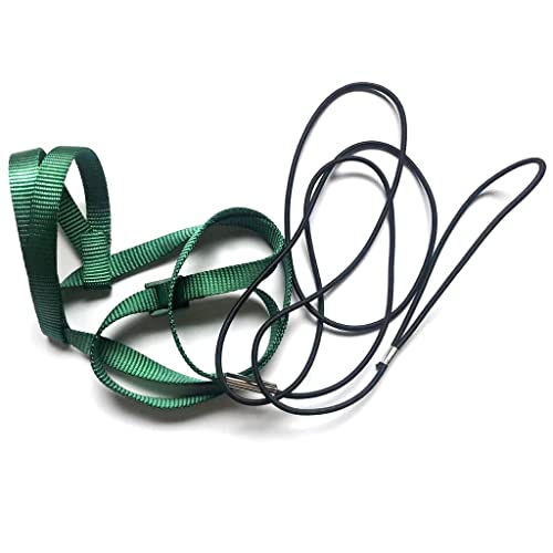Outdoor Aktivitäten Fliegender Traktionsstraps Band Fliegerseil Für Kleine Sittiche Cockatiels Vogel Papageigurt Leine Pet Supplies Welpen Strohseil Handgewebte Nest Grus von ANMITI