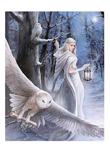 ANNE STOKES Leinwandbild, Motiv Midnight Messenger, Motiv A Gothic Druid/Angel mit weißen Eulen von ANNE STOKES