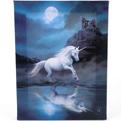 ANNE STOKES Leinwandbild, Motiv: kleines Mondlicht, Einhorn von ANNE STOKES