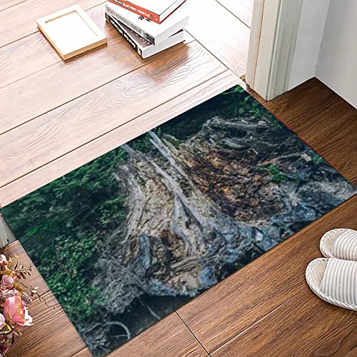 ANNKOOT Weich Badezimmerteppich 50x80 cm,Alter Baumstumpf im Wald bunt,rutschfest waschbar Badematte, Badteppich Mikrofaser Saugfähig Badvorleger Duschvorleger von ANNKOOT
