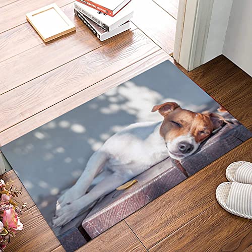 ANNKOOT Weich Badezimmerteppich 50x80 cm,Jack Russel Hund auf Herbst Veranda,rutschfest waschbar Badematte, Badteppich Mikrofaser Saugfähig Badvorleger Duschvorleger ANNKOOT Weich Badezimmerteppich 50x80 cm,Jack Russel Hund auf Herbst Veranda,rutschfest waschbar Badematte, Badteppich Mikrofaser Saugfähig Badvorleger Duschvorleger von ANNKOOT