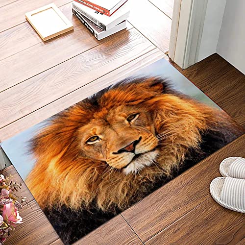 ANNKOOT Weich Badezimmerteppich 50x80 cm,Löwe schwarz und weiß,rutschfest waschbar Badematte, Badteppich Mikrofaser Saugfähig Badvorleger Duschvorleger ANNKOOT Weich Badezimmerteppich 50x80 cm,Löwe schwarz und weiß,rutschfest waschbar Badematte, Badteppich Mikrofaser Saugfähig Badvorleger Duschvorleger von ANNKOOT