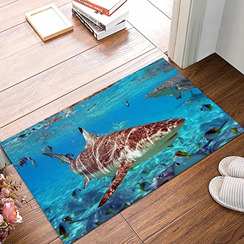 ANNKOOT Weich Badezimmerteppich 50x80 cm,Tierischer Hai Haie im Meer Meerestiere Haie und Tropische Fische,rutschfest waschbar Badematte, Badteppich Mikrofaser Saugfähig Badvorleger Duschvorleger von ANNKOOT