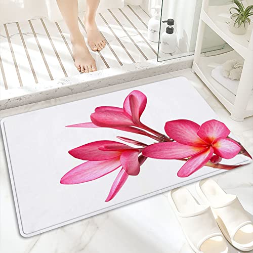 Badematte, rutschfest Waschbar Badezimmerteppich 60x100 cm,Frangipani-Blüten lokalisiert auf dem Hintergr,Badvorleger mit Wasserabsorbierenden, Weichen Mikrofasern für Badewanne, Dusche und Badezimmer von ANNKOOT